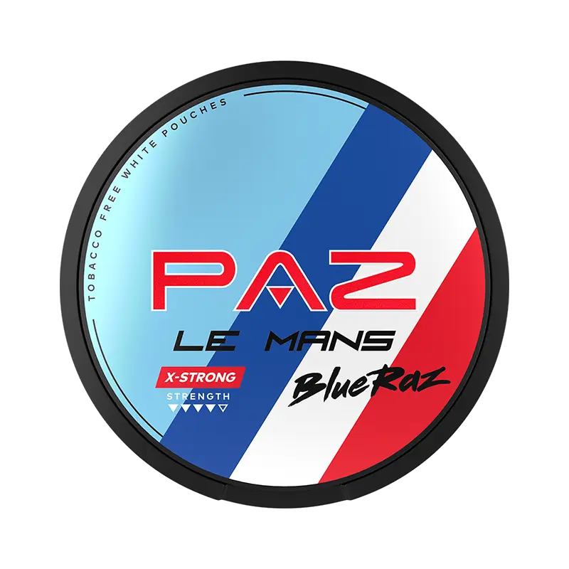 PAZ Racing Le Mans