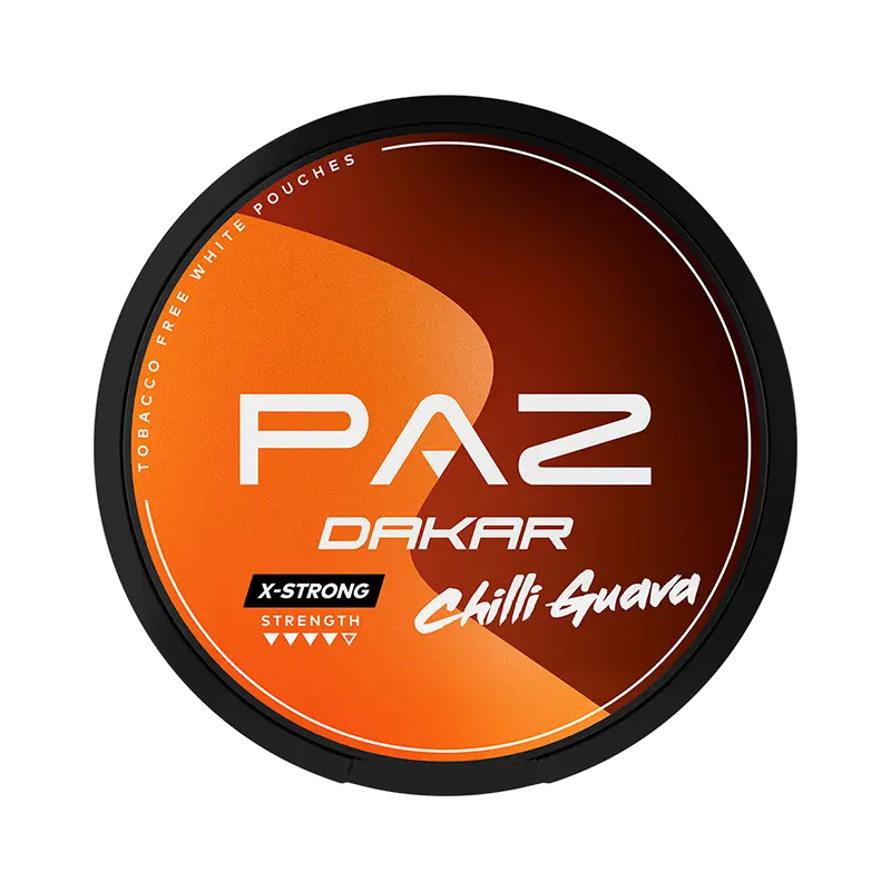 PAZ Racing Dakar